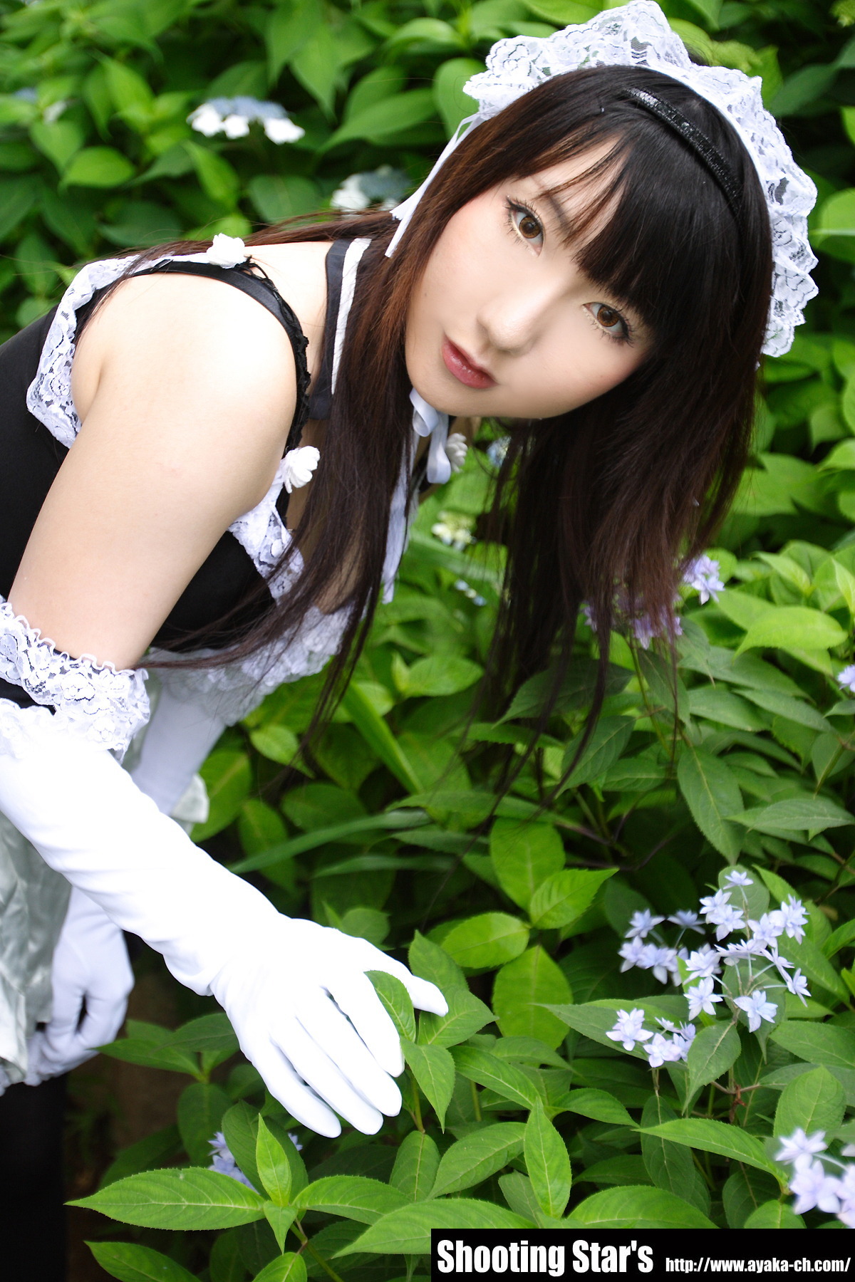 [Cosplay]  Sexy Maid with big boobs